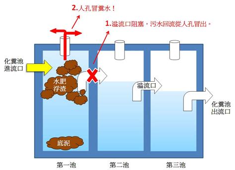 化糞池位置查詢|家中化糞池探秘